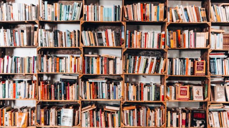 La ventana de los libros | Tsundoku, el fenómeno de acumular libros