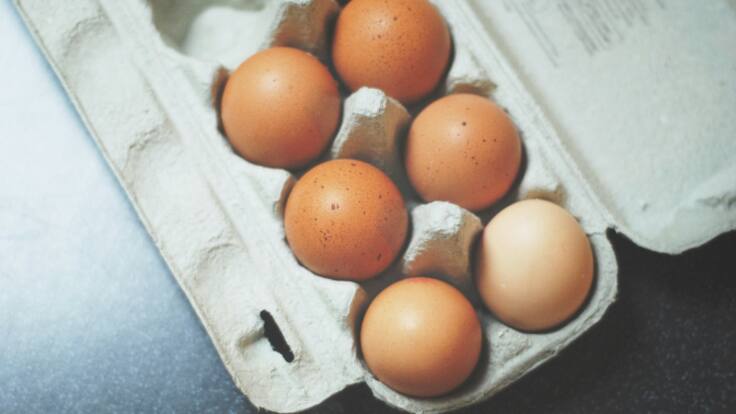 Maria Nicolau, Evelyn Segura i tot el que no saps dels ous i segur que t'has preguntat més d'un cop