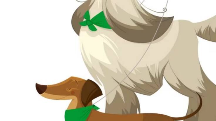 Si ves un perro con un pañuelo verde, evita lanzar cohetes
