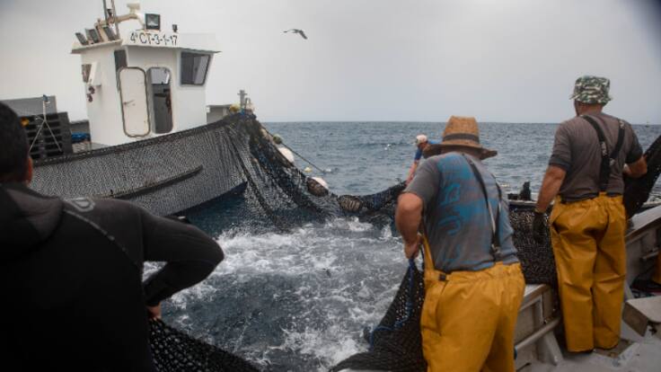Entrevista Bartolomé Navarro, presidente de la Federación Regional de Pescadores