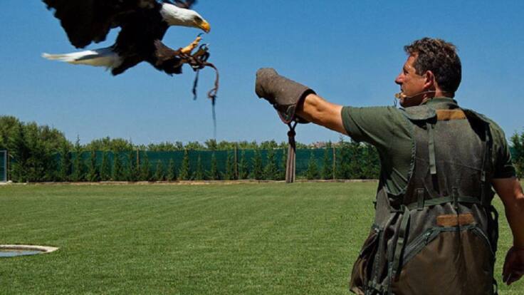 Tierra Rapaz estrena temporada. La décima.