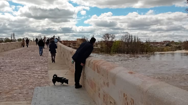 El Puente de Piedra de Zamora vuelve a estar abierto al tráfico peatonal