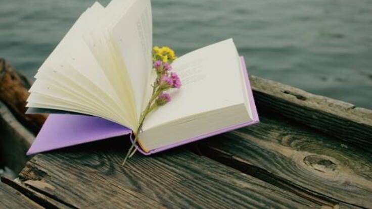 Mari Carmen Sanz, Pozaldez: “La poesía me ofrece la posibilidad de abrir mi corazón y mis sentimientos”