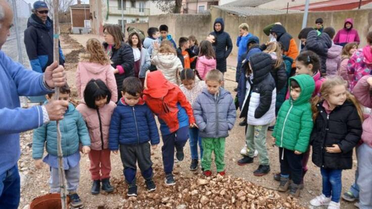 “Ha tocado el alma de todo el pueblo”: los niños de Chillarón replantarán los árboles destrozados