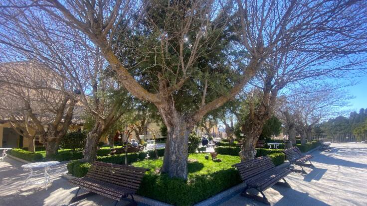 El Hospital de Santiago de Cuenca quiere desvelar sus secretos mejor guardados en visitas turísticas