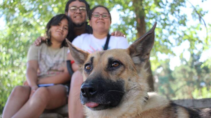 Cómo integrar correctamente a las mascotas en nuestra familia