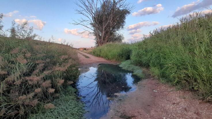 Ruta por el río Guadamejud en busca de las joyas naturales de la Alcarria de Cuenca