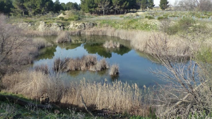Entrevistamos al investigador Felipe Morcillo y al graduado Cristian García (UCM) que estudian las lagunas de Horna en Getafe