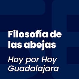 Filosofía de las abejas