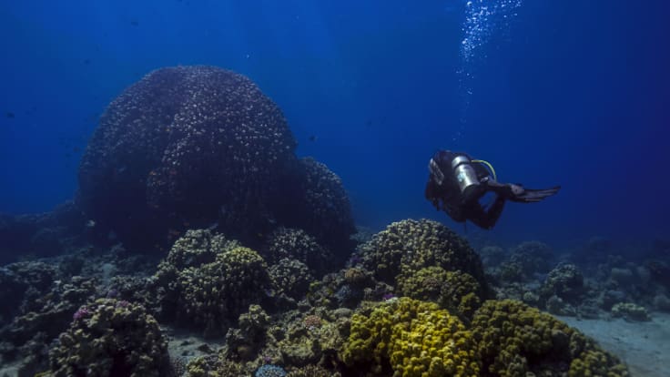 El alegato de Manu San Félix a favor de la exploración marina: "Buscamos planetas que tengan agua y aquí no investigamos nuestros océanos"