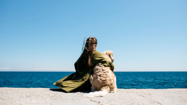 A cara de perro: Separación y mascotas