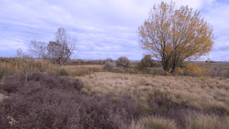 Entrevistamos a Julio Martín de Eugenio, portavoz del grupo ‘Espartal-Ecologistas en Acción’ de Valdemoro