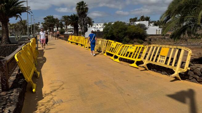 Alejandro Domínguez (CCOO) 11 empresas con ERTES