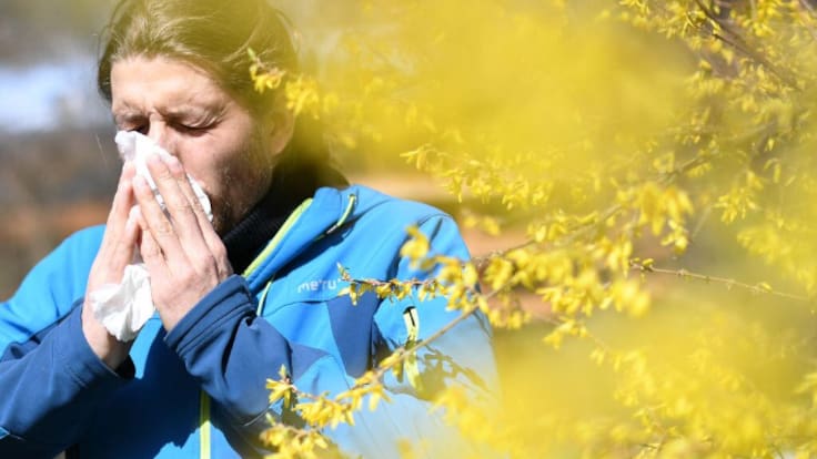 "Esta primavera tengo síntomas más potentes que otros años": la explosión del polen recrudece la alergia