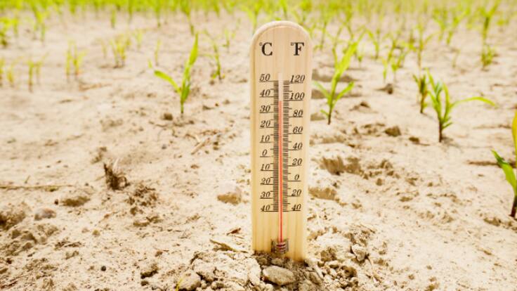 La estrategia de La Rioja contra el cambio climático contempla una inversión de 42 millones de euros