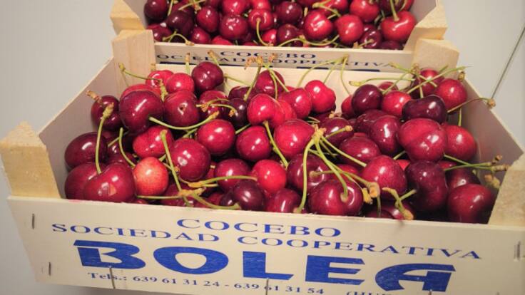 Maribel Bailo, alcaldesa de Bolea