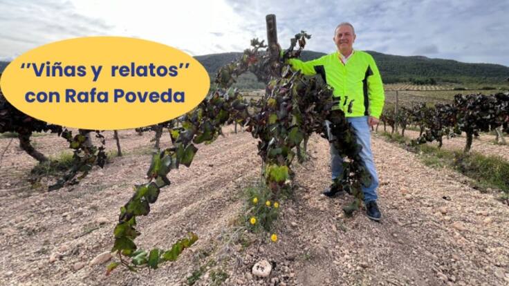 Rafa Poveda, enólogo, reflexiona sobre la Denominación de Origen