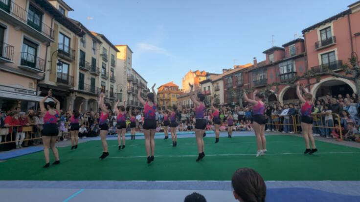 El Gimnasia Aranda, a por más medallas