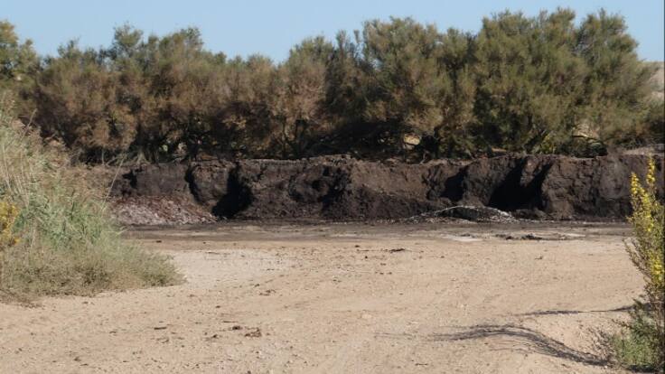 La CHE sanciona un acopio de compost en Pradejón tras una denuncia de Amigos de la Tierra