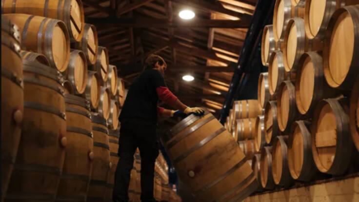 Grupo Rioja, Fecoar y Asaja reeditan su control sobre el Consejo Regulador