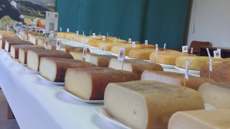 Carol Quevedo, de CRDO Queso Mahón Menorca en el XXIV Concurso de cata