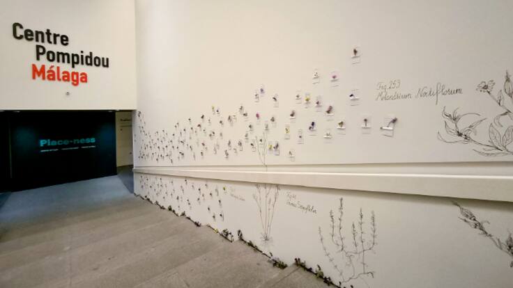 El arte es una "mala hierba" en el Pompidou de Málaga
