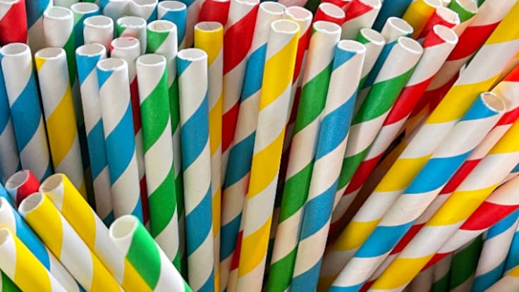 Patricia Aymà, biotecnóloga, ingeniera ambiental y cofundadora de VEnvirotech