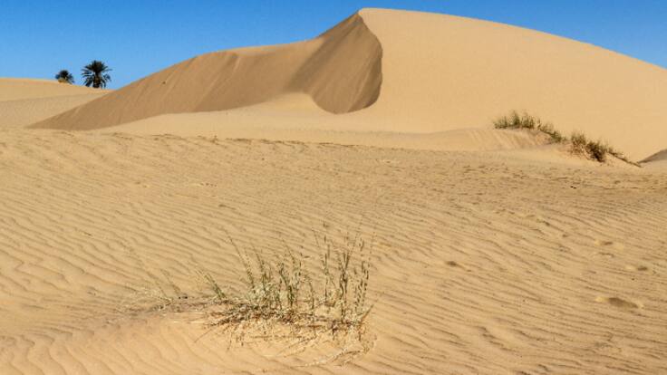 "Qué manera más indigna de morir": el gran problema de que te entre un 'apretón' en medio del desierto