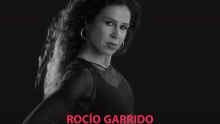 Ciclo Flamenco en el Admiral Arena