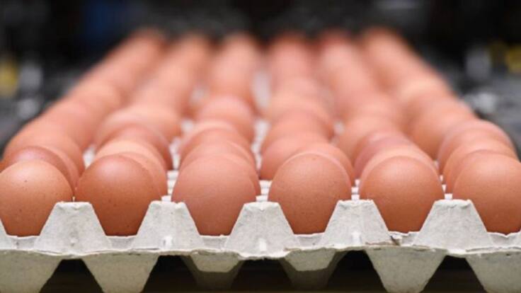 "Durante mucho tiempo se han demonizado los huevos, pero se ha demostrado que es bueno tomar un huevo"