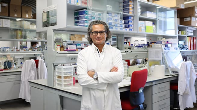 El catedrático Juan Pedro Bolaños logra la primera ERC Advanced Grant para la USAL