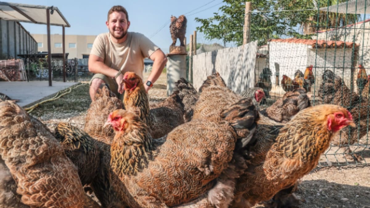 Alejandro García, vecino de Petrer, sobre su pasión por la avicultura