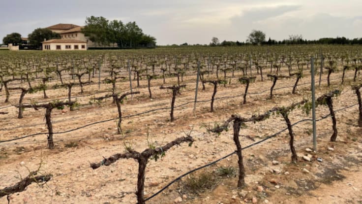 Jaraíz (21/06/2025)