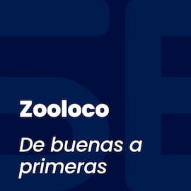 Zooloco
