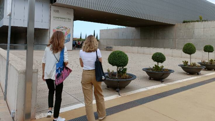 Plataforma en defensa de la UJA. Grado de Ingeniería Biomédica.
