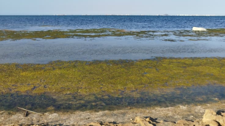 Entrevista a Alejandro Martínez Ruiz - 03/07/2025