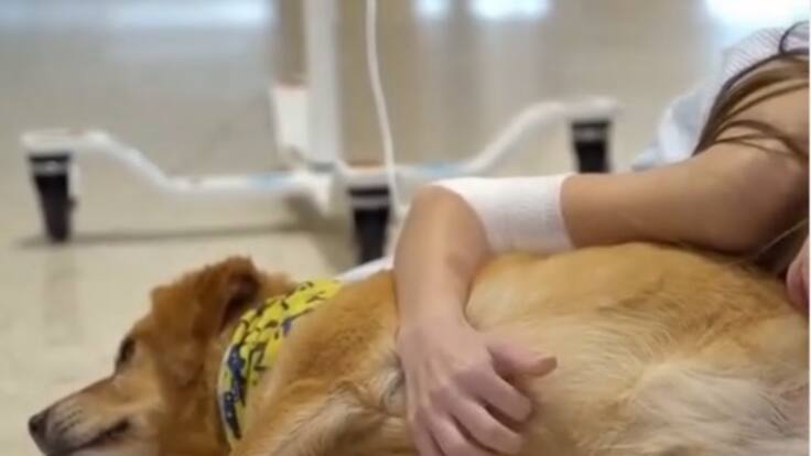 "Intentamos que pasen los mejores 20-25 minutos del día con la ayuda de nuestros perros"