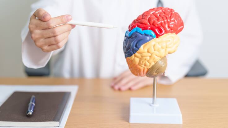 Las pérdidas de memoria y las migrañas suponen las enfermedades cerebrales con más prevalencia en Navarra