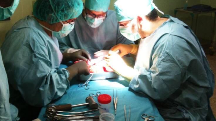 Nieves Romero, directora del Hospital Virgen del Rocío: "No tenemos profesionales a los que contratar, ese es el gran reto al que nos enfrentamos"