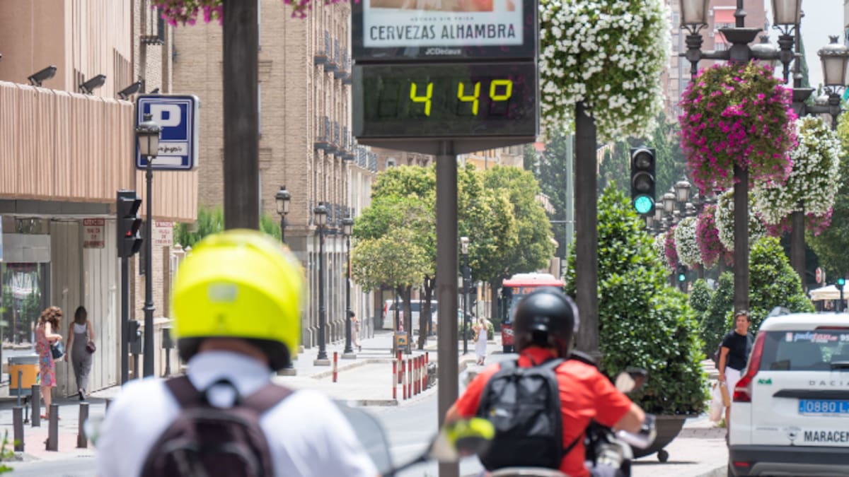 Fernando Prieto, doctor Ecología