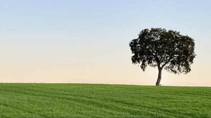 La mirada de Antonio Moral capta la luz cambiante de la Mancha de Cuenca