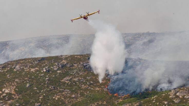 Un experto en medioambiente, sobre los incendios: "Lo llevamos advirtiendo años, es un problema de gestión forestal, no de medios"