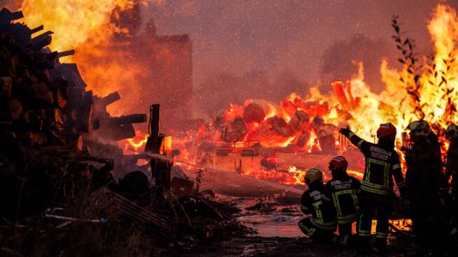 Javier Madrigal, investigador del CSIC: "Esto no es nuevo, es el resultado de 50 o 60 años de abandono forestal y rural".
