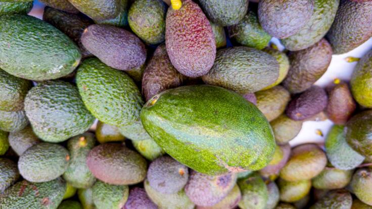 Antonio García delegado de Economía de la Junta de Andalucía en Málaga