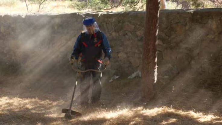 'Limpiar' el monte para evitar incendios: lo que dice la ley y lo que pasa en la práctica