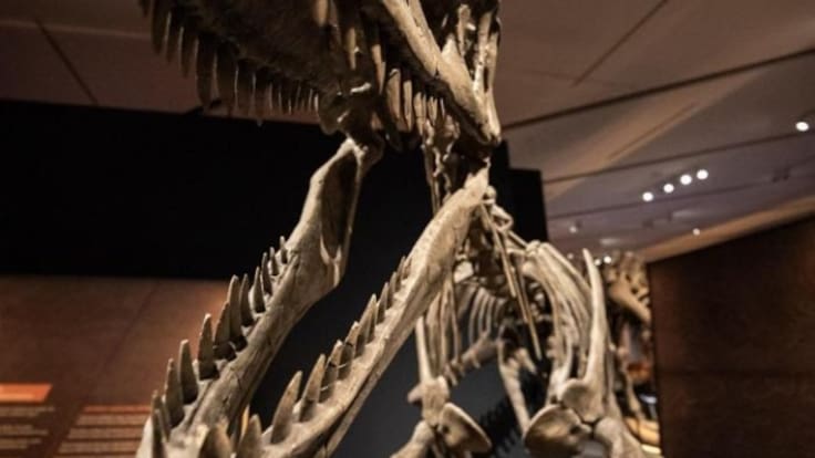 Entrevista a Álvaro Borrás