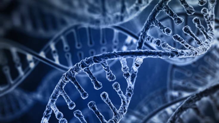 Un estudio pionero busca 300 voluntarios en Aragón para investigar las causas del suicidio - Hora 14 Aragón (13/09/2025)