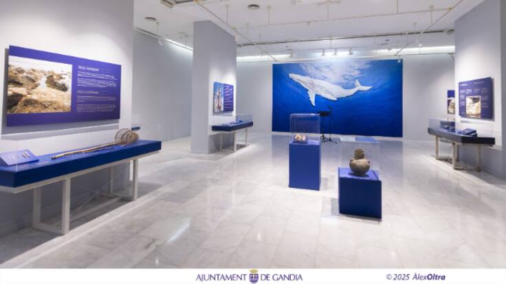 Usos en la Prehistoria de los recursos marinos