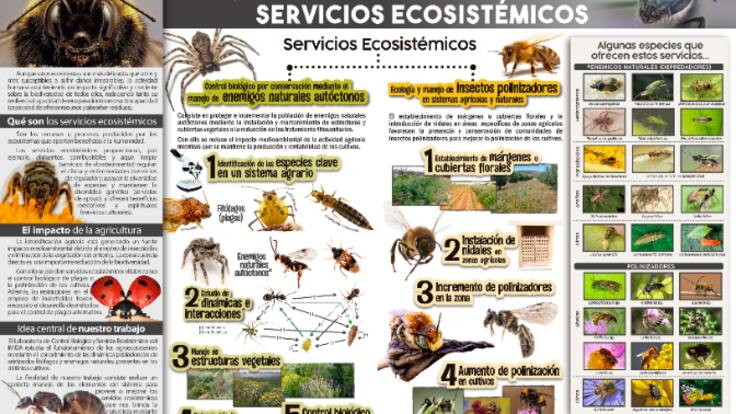 Entrevista a Juan Antonio Sánchez, investigador del Instituto Murciano de Investigación y Desarrollo Agrario y Medioambiental (IMIDA)