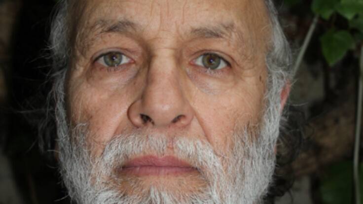 Galgos o podencos. Guillermo Contreras